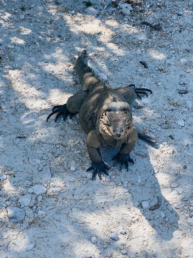 Lago Enriquillo Resort Cerro Al Medio Dış mekan fotoğraf