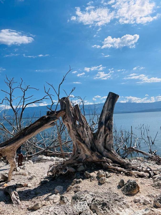 Lago Enriquillo Resort Cerro Al Medio Dış mekan fotoğraf