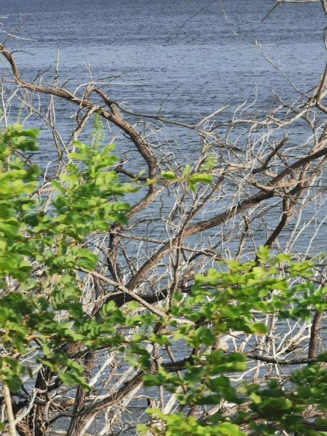 Lago Enriquillo Resort Cerro Al Medio Dış mekan fotoğraf