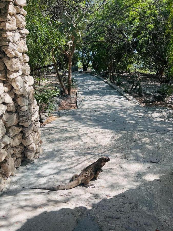 Lago Enriquillo Resort Cerro Al Medio Dış mekan fotoğraf