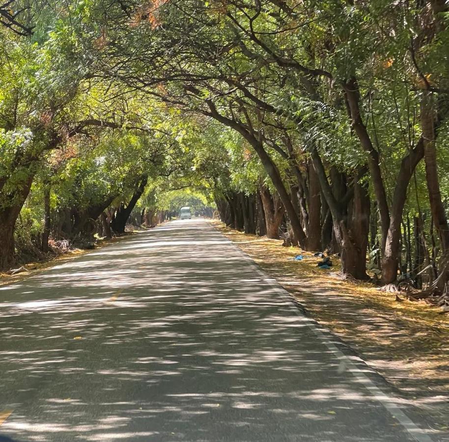 Lago Enriquillo Resort Cerro Al Medio Dış mekan fotoğraf